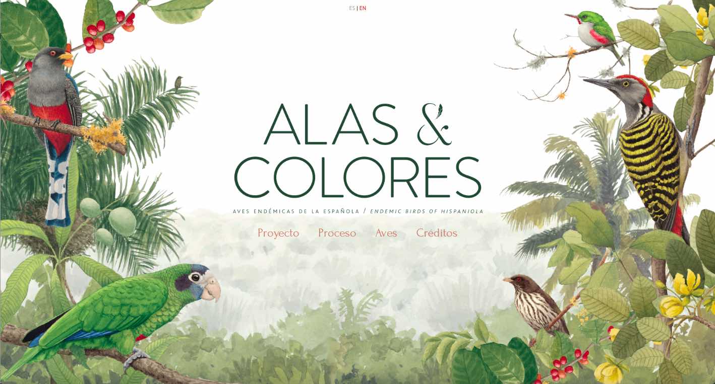 INICIA Libro Institucional Alas y Colores - Felipe Vicini